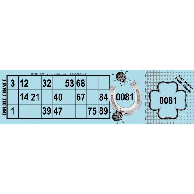 Double chance I Partie de loto spéciale I Grille de loto double chance