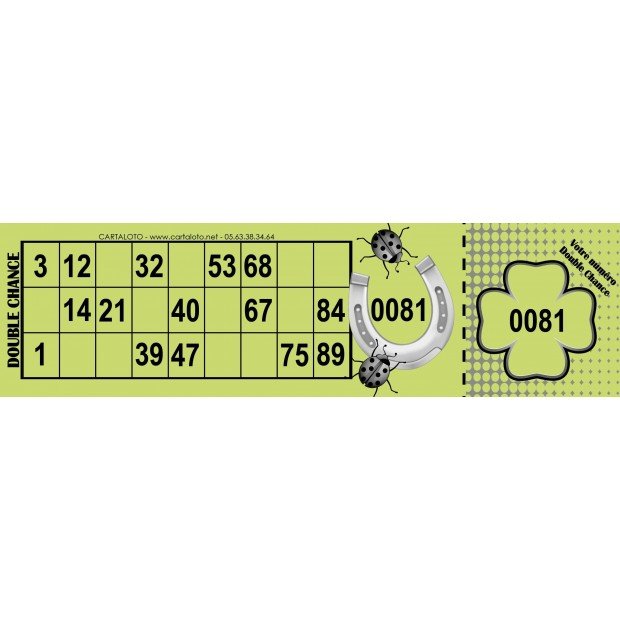 Double chance I Partie de loto spéciale I Grille de loto double chance