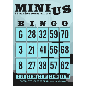 Mini bingo US