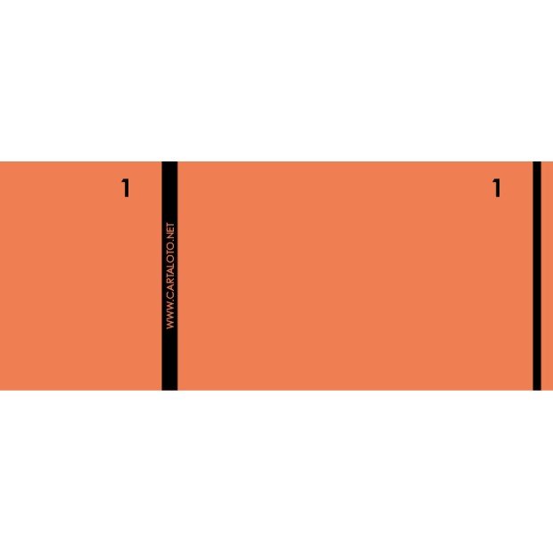 10 Booklets of 100 numered check tickts I 2 clip parts (customisable)