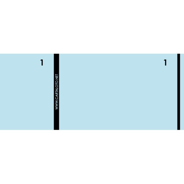 10 Booklets of 100 numered check tickts I 2 clip parts (customisable)