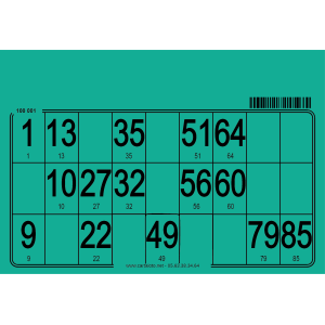 500 customizable bingo cards I Bingo lottery tickets