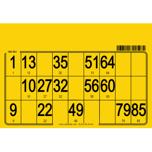 Hard bingo cards I 500 per pack I Bingo equipment I Cardboard bingo card