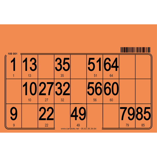 Hard bingo cards I 500 per pack I Bingo equipment I Cardboard bingo card