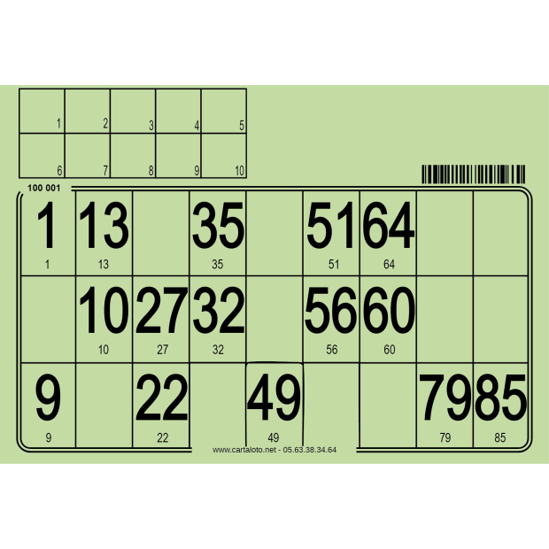 500 Hard bingo cards I Reusable bingo cards I Bingo events supplies