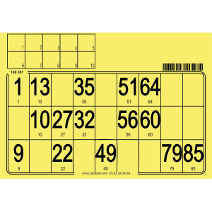 500 Hard bingo cards I Reusable bingo cards I Bingo events supplies