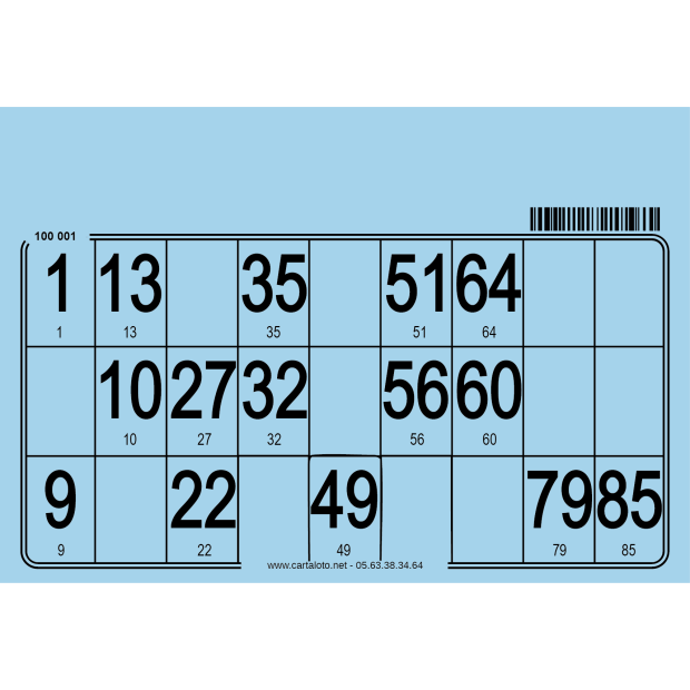 500 Cartons loto individuels très épais I Planches loto personnalisées