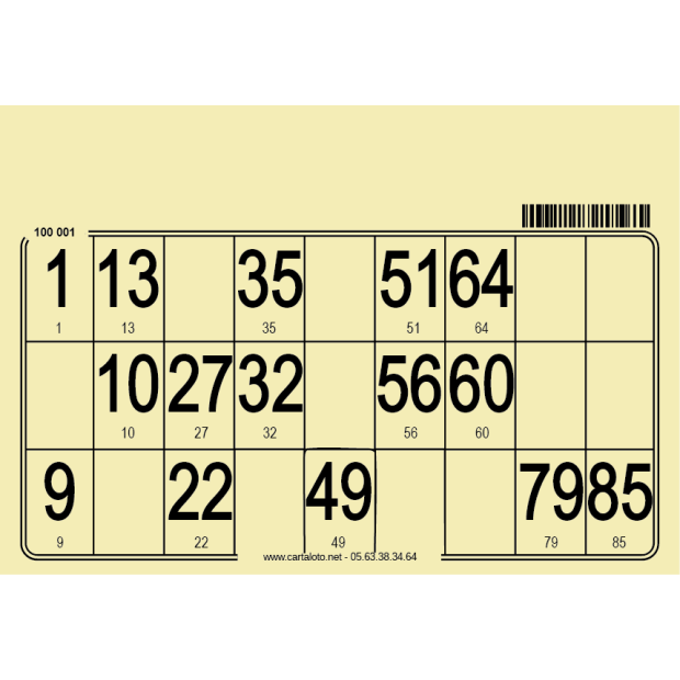 500 Cartons loto individuels très épais I Planches loto personnalisées