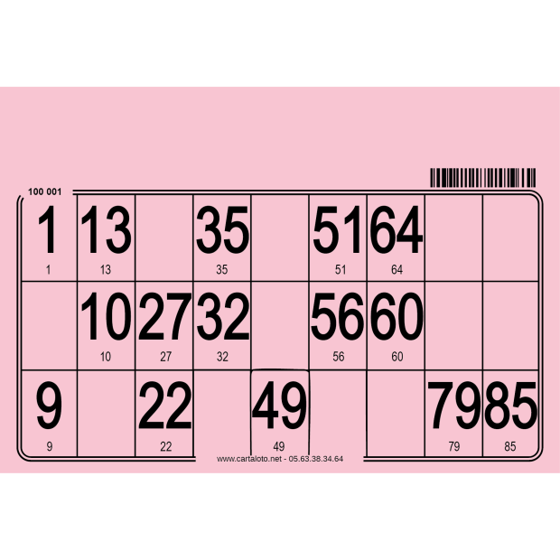 500 Cartons loto individuels très épais I Planches loto personnalisées