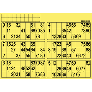 84 bristol bingo cards 6 grids I Customized bingo boards