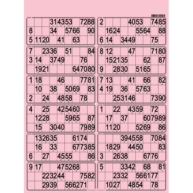 42 bristol bingo cards 12 grids I Discover our full rang of bingo cards