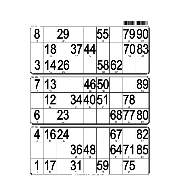 167 planches de loto - 3 grilles I Entièrement personnalisables