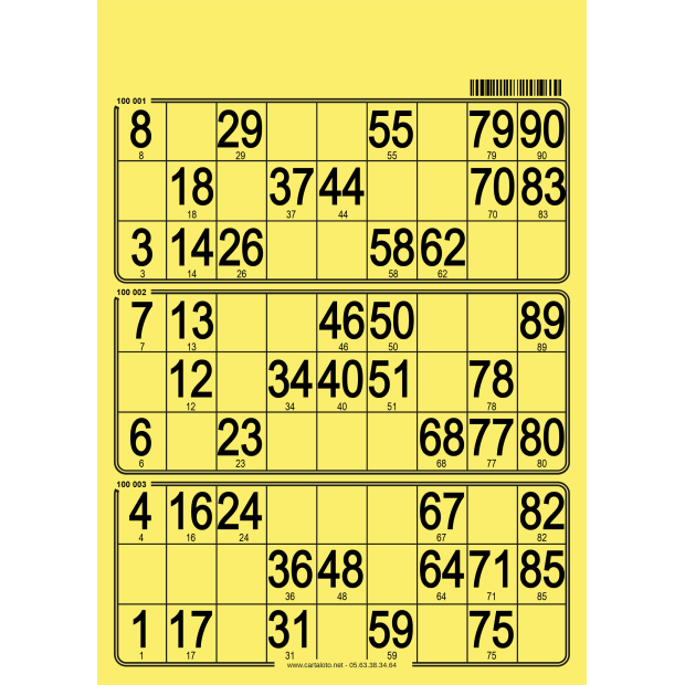 167 Paper 90 ball bingo tickets with3 grids I Bingo paper