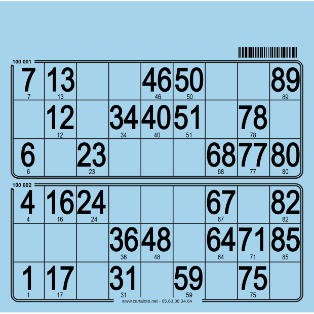 250 bristol bingo tickets with 2 grids I 90 ball bingo boards