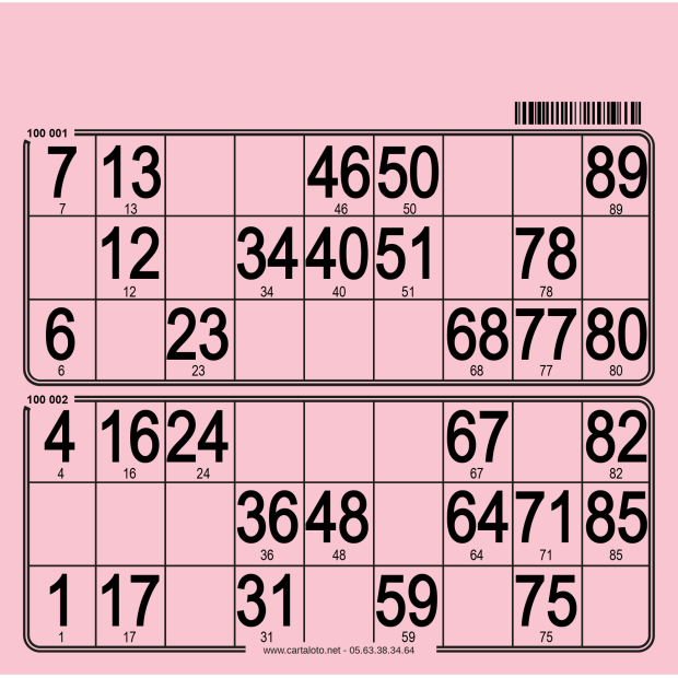 250 bristol bingo tickets with 2 grids I 90 ball bingo boards