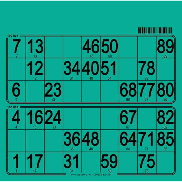 250 planches loto de 2 grilles I Carton pour loto I Cartaloto