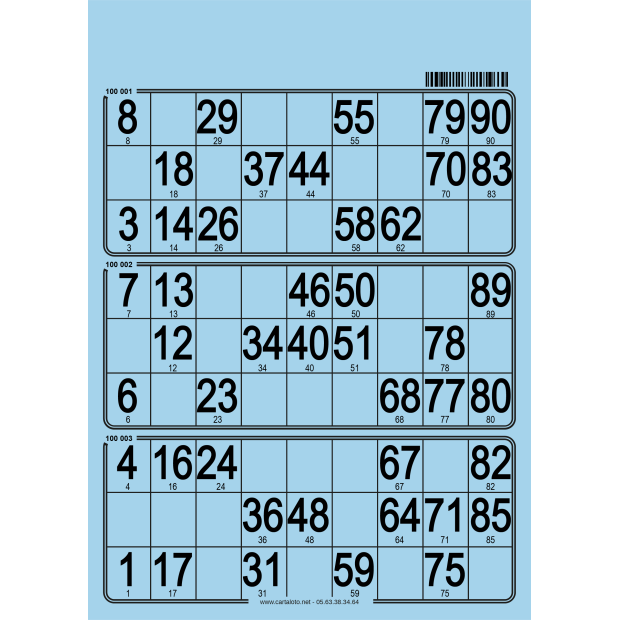 167 planches de loto de 3 grilles I Carton de loto bristol
