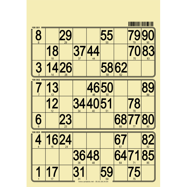 167 planches de loto de 3 grilles I Carton de loto bristol