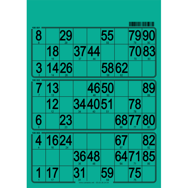 167 planches de loto de 3 grilles I Carton de loto bristol