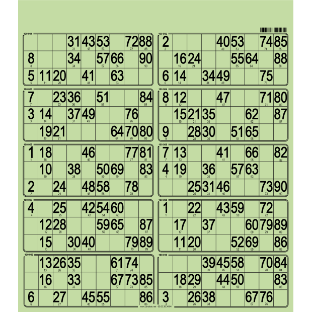 50 Planches de loto bristol de 10 grilles I Carton loto personnalisé