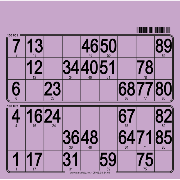 Hard bingo cards I 250 per pack I Bingo tickets I 90 ball bingo