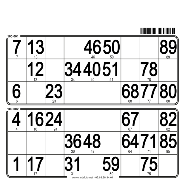 250 planches de loto de 2 grilles I Cartons loto rigide I 100% perso