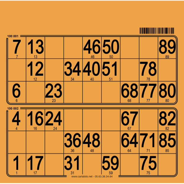 250 planches de loto de 2 grilles I Cartons loto rigide I 100% perso