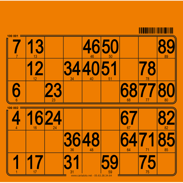 Hard bingo cards I 250 per pack I Bingo tickets I 90 ball bingo