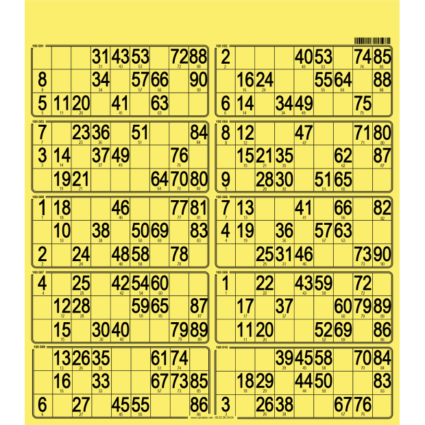50 Planches de loto rigide 10 grilles I Plastifiées & 100% perso