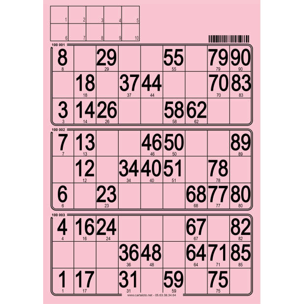 167 Planches de 3 grilles à tamponner I Carton de loto rigide