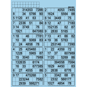 42 Hard bingo cards I Professional bingo cards I Bingo supplies