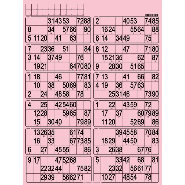 42 Hard bingo cards I Professional bingo cards I Bingo supplies
