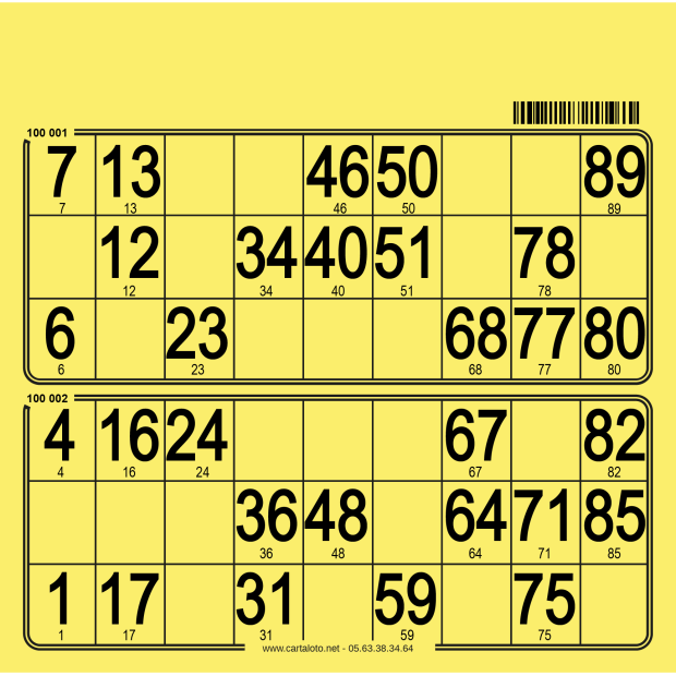 250 planches de loto 2 grilles en carton très rigide I Cartaloto