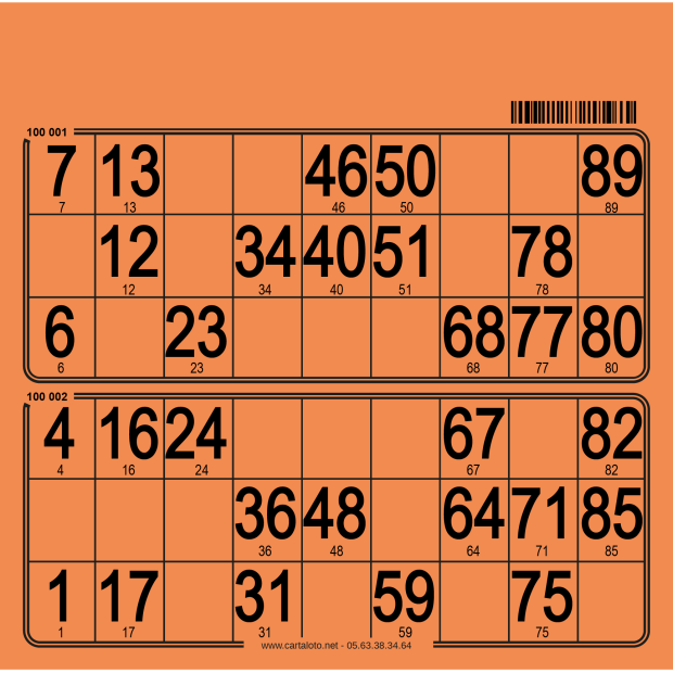 250 planches de loto 2 grilles en carton très rigide I Cartaloto