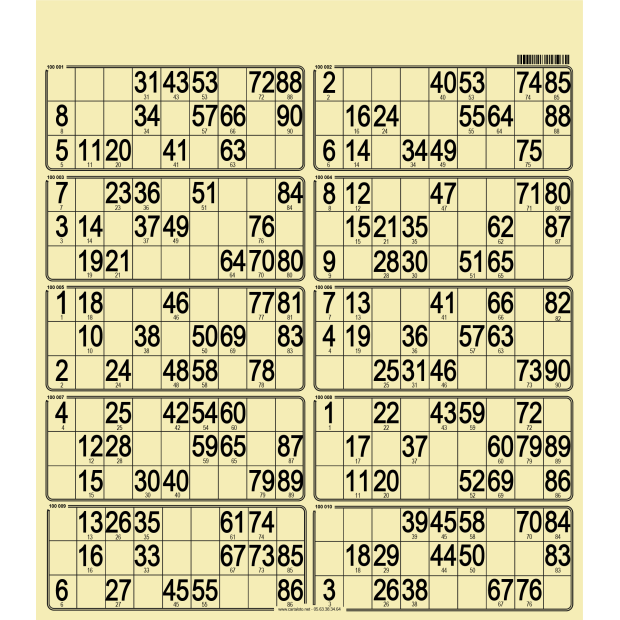 50 planches de loto 10 grilles en carton très rigide I 100% perso
