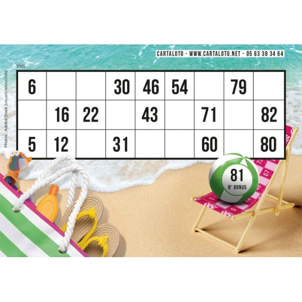 Themed bingo paper games I Bingo tickets for all occasions