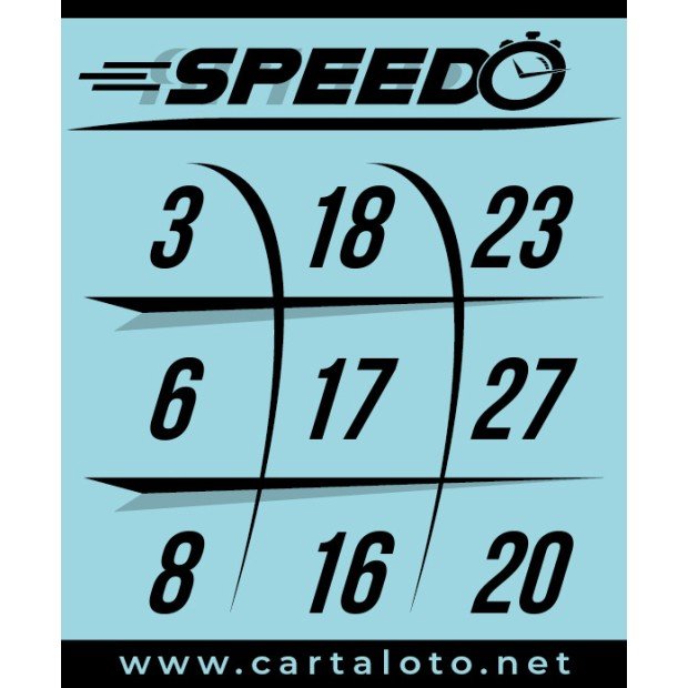 Speedo 9 numbers bingo paper I Funny bingo game I Bingo cards
