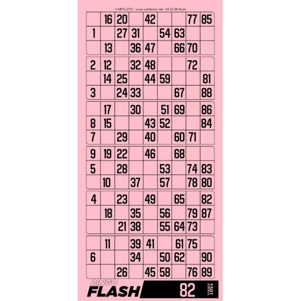 Bloc Bingo Flash I Carnet bingo I Bingo jeu