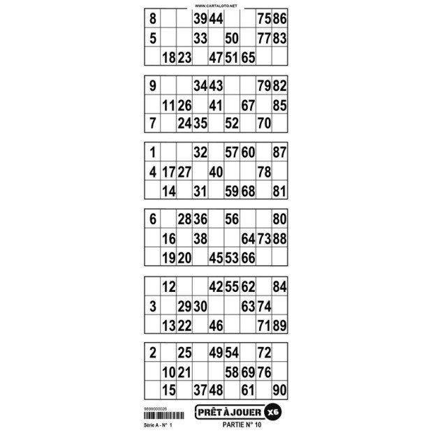 Bingo tickets I 90 number bingo I Bingo game with 6 grids