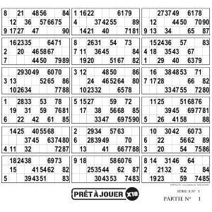 Bingo tickets with 18 grids I Bingo night games I 90 ball bingo