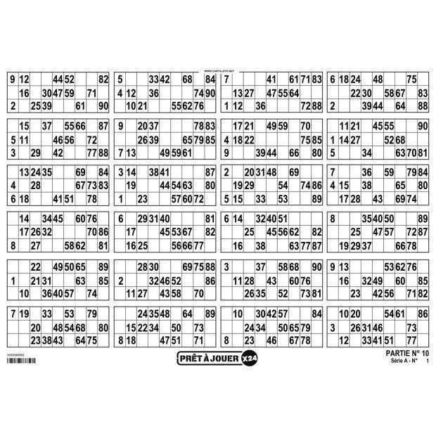 Bingo tickets with 24 grids I Bingo paper games I 90 number bingo