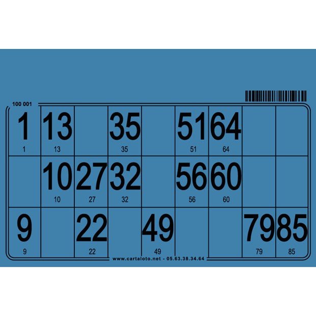 500 customizable bingo cards I Bingo lottery tickets