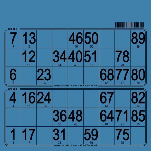 250 bristol bingo tickets with 2 grids I 90 ball bingo boards