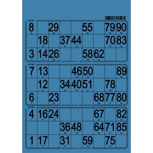 167 planches de loto de 3 grilles I Carton de loto bristol