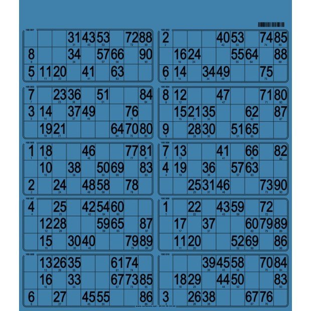 50 bristol bingo tickets with 10 grids I Personalised bingo tickets