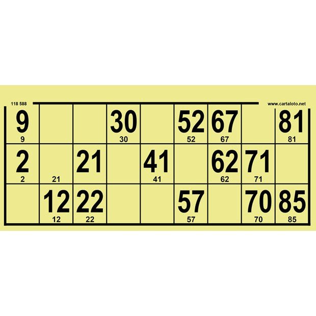 Bingo boards I Big format I 90 ball bingo tickets I Free customisation