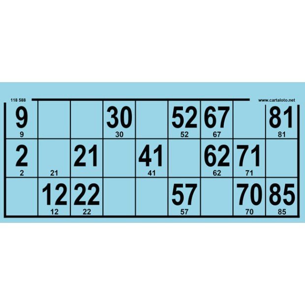 Bingo boards I Big format I 90 ball bingo tickets I Free customisation