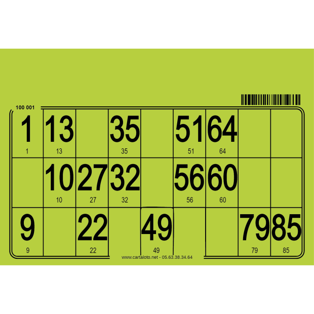 500 cartons loto rigide de 1 grille loto I Cartons loto personnalisés