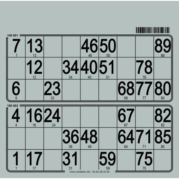 Hard bingo cards I 250 per pack I Bingo tickets I 90 ball bingo