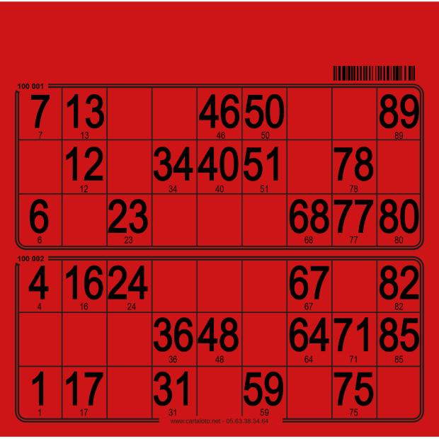 Hard bingo cards I 250 per pack I Bingo tickets I 90 ball bingo